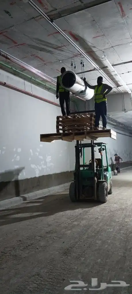 ببكاتات. ورافعات شوكيه 6