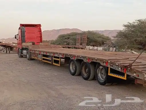لوبد متواجد في المدينه 0