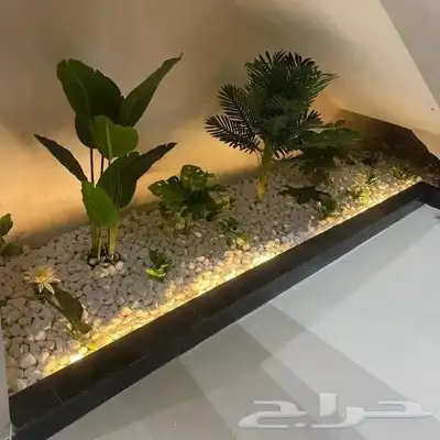 ابو عاصم للتنسيق الحدائق 3