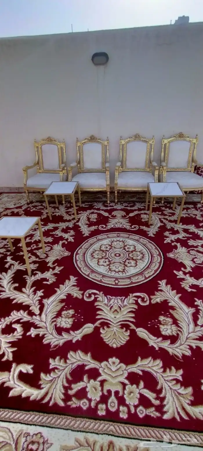 حفلات والمخيمات 1