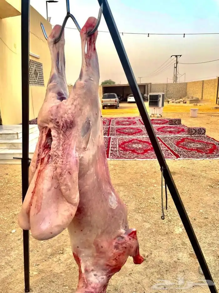 معلم مشوي خارجي 1