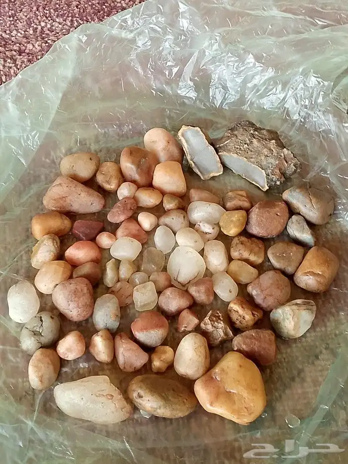 نوادر واحجار غريبة 3