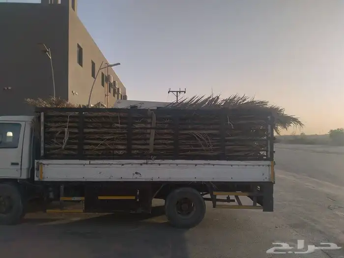 سعف اخضر جديد للعرايش والمظلات والمظلات 3
