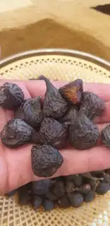 اللوز البلدي وزبيب الحماط والعنب البلدي المجفف 3