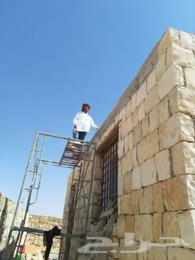 نقوم بتوريد أنخيل وغرسه واشنطن وعربي وتنفيذ بنا الحجر 8