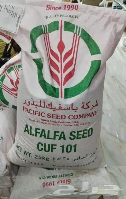 بذر برسيم امريكي باسفك كاف 101 0