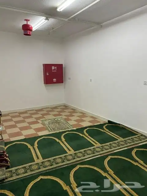 عمارة للايجار بالكامل سكن عمال 8