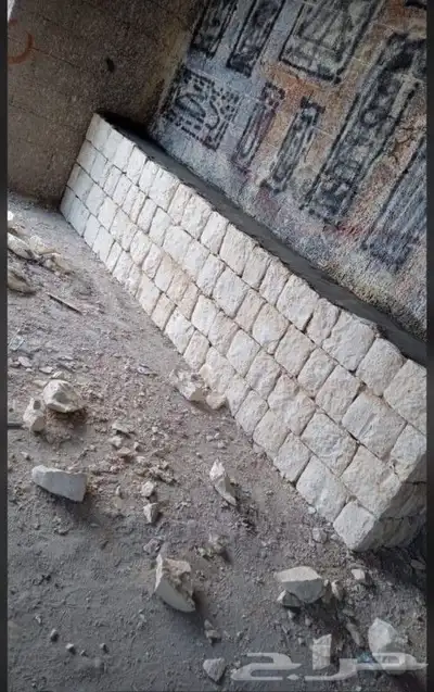 نقوم بتوريد أنخيل وغرسه واشنطن وعربي وتنفيذ بنا الحجر 7