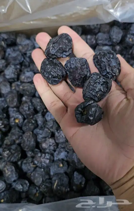 عجوة المدينة المنورة 1