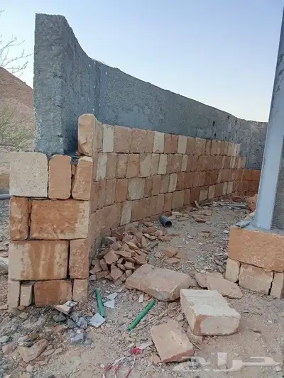 نقوم بتوريد أنخيل وغرسه واشنطن وعربي وتنفيذ بنا الحجر 9