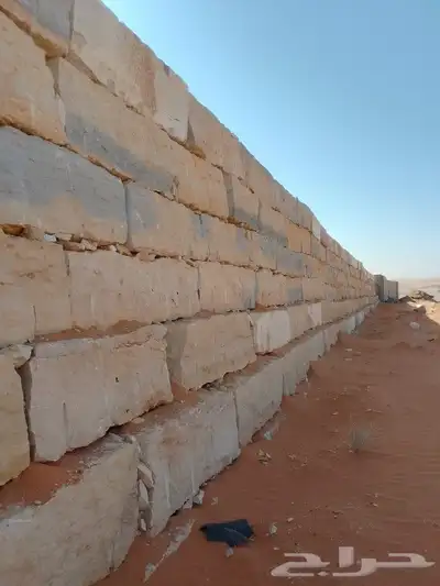 نقوم بتوريد أنخيل وغرسه واشنطن وعربي وتنفيذ بنا الحجر 5