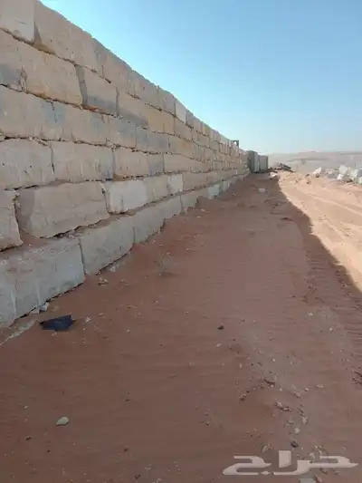 نقوم بتوريد أنخيل وغرسه واشنطن وعربي وتنفيذ بنا الحجر 6