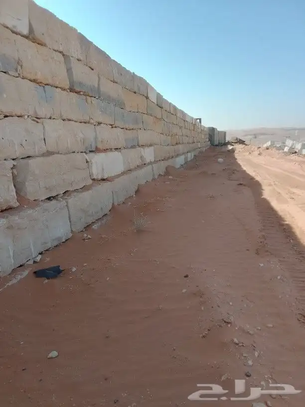 نقوم بتوريد أنخيل وغرسه واشنطن وعربي وتنفيذ بنا الحجر 6