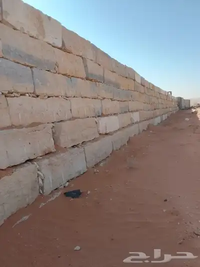 نقوم بتوريد أنخيل وغرسه واشنطن وعربي وتنفيذ بنا الحجر 4