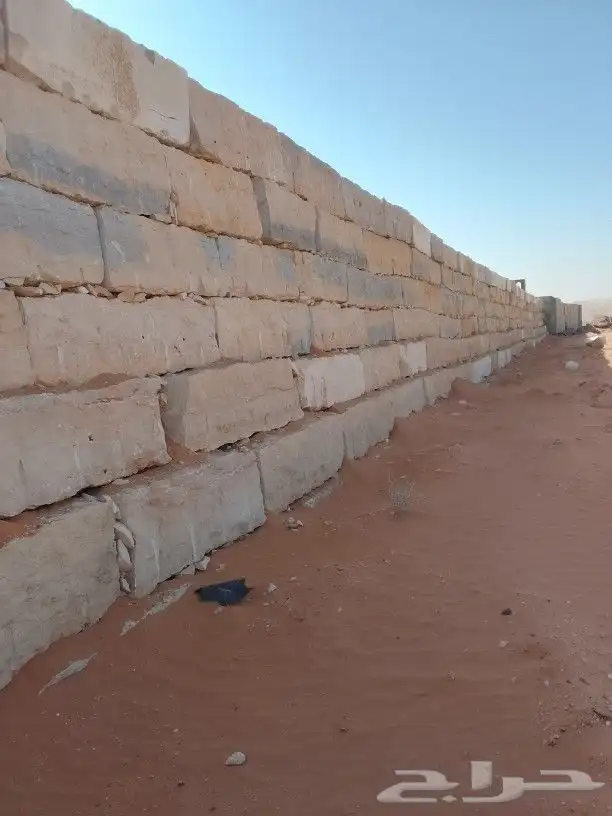 نقوم بتوريد أنخيل وغرسه واشنطن وعربي وتنفيذ بنا الحجر 4
