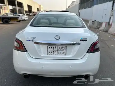 مكسيما 2014 وكاله 10