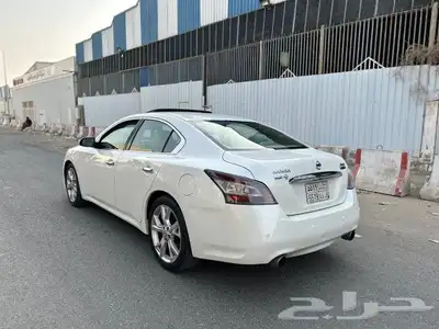مكسيما 2014 وكاله 11