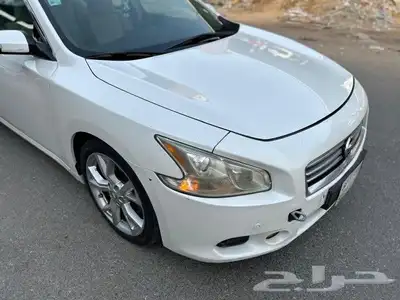 مكسيما 2014 وكاله 19