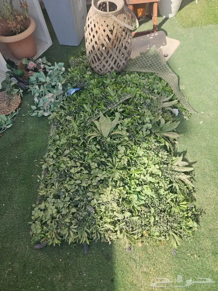 شجر اثاث 2