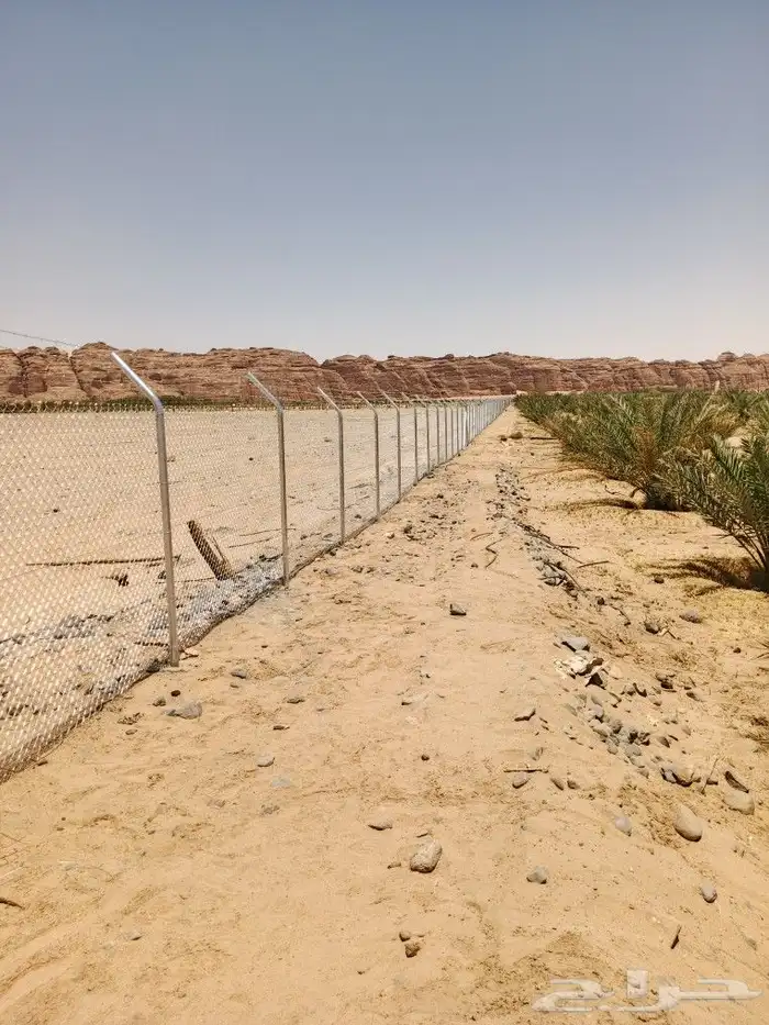 مقاول شبوك ونخيل 1