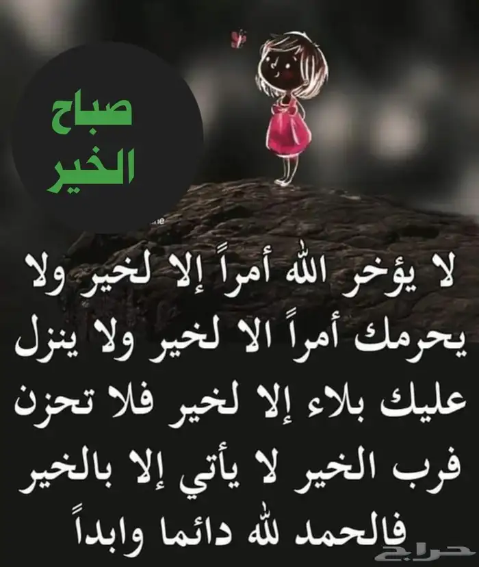 ترصيل البحرين السعوديه الخبر فقط يومي 9