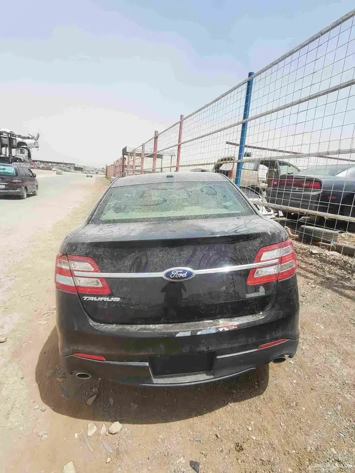 صدام كبوت شمعات 5