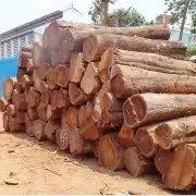 للبيع اخشاب مثل التي بالصورة 0