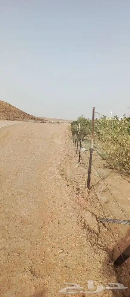 مقاول شبوك وزراعة النخيل الغربي واشنطن 0