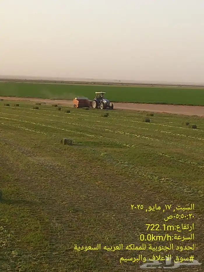 برسيم صافي مشروع من شركه مجدل في وادي الدواسر 2