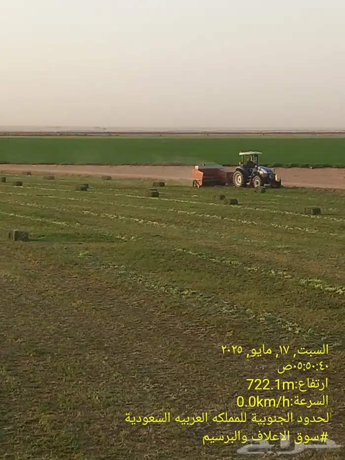 برسيم صافي مشروع من شركه مجدل في وادي الدواسر 0