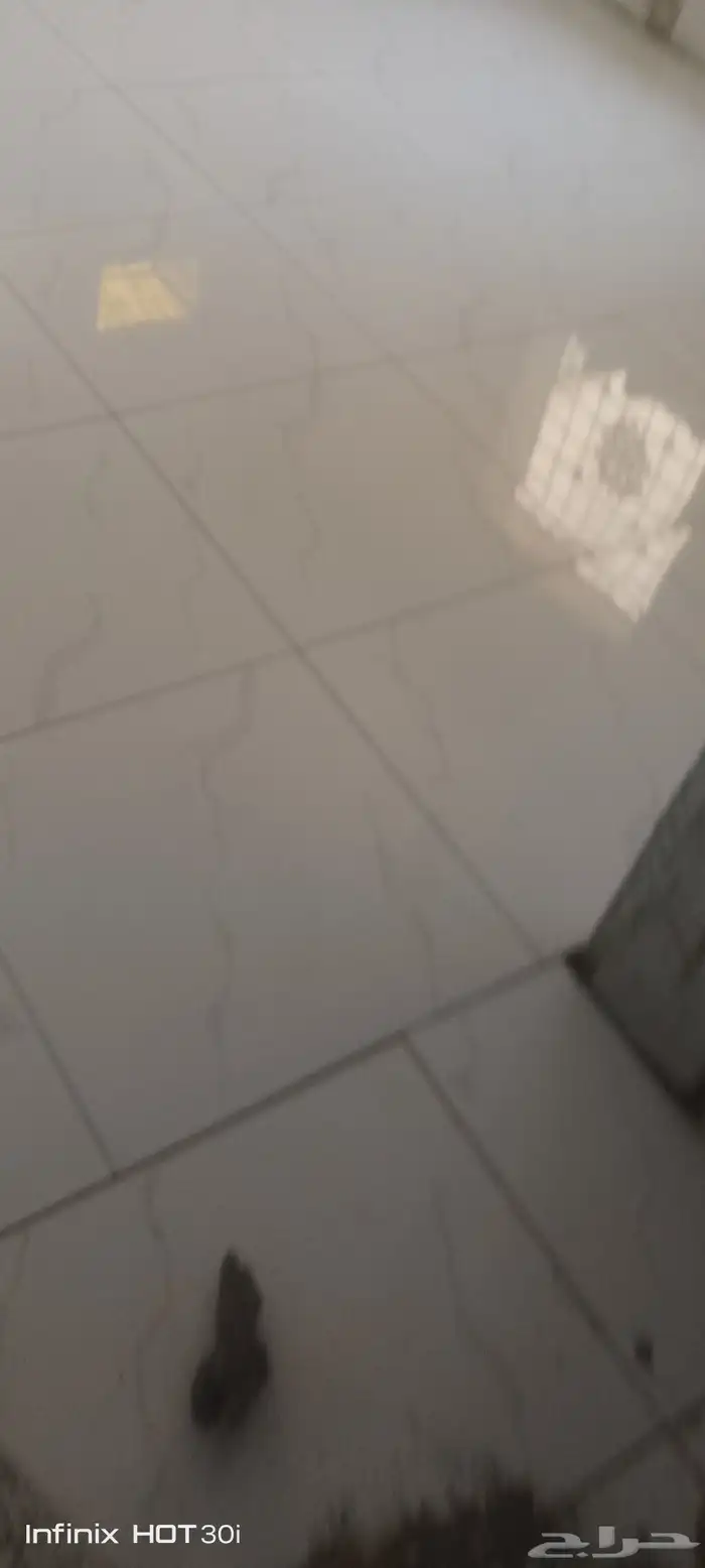 معلم بلاط 5