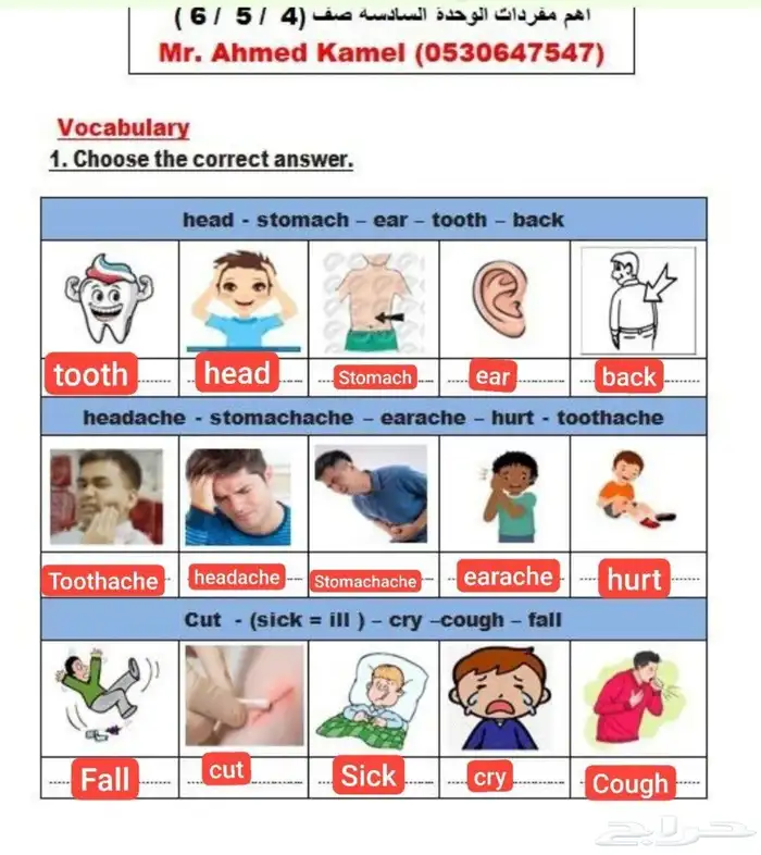 مدرس لغة انجليزية انترناشيونال بجدة خبرة 10