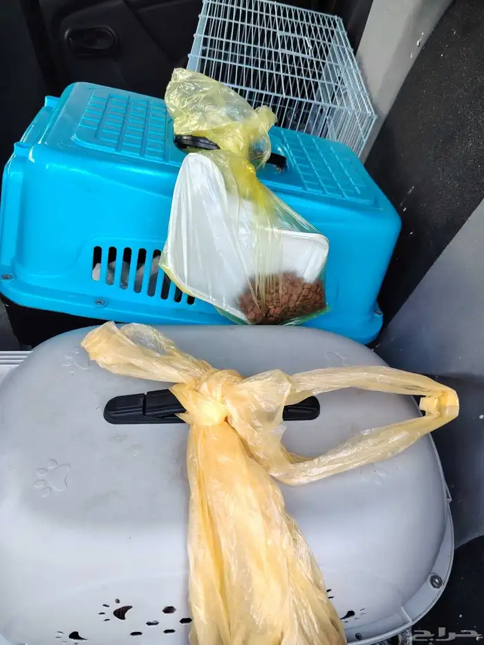 توصيل حيوانات اليفه توصيل طيور 3