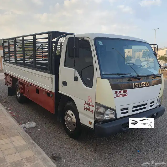 دينا 2007 مجدد للايجار شهري داخل المدينة للتمر المزارع 2