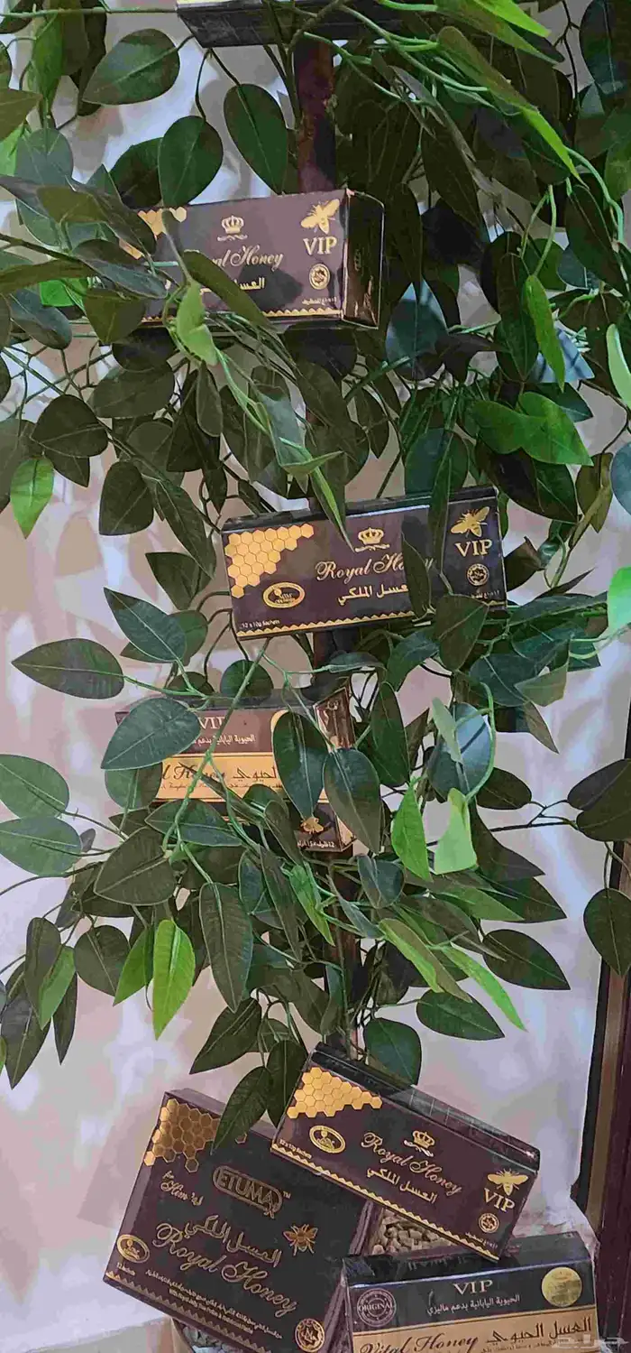 عسل ملكي ماليزي اصلي 6