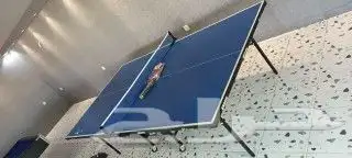 العاب التنس بينغ بونغ هندي دولي 31