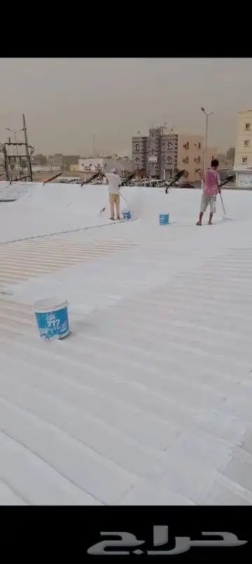 دهانات وديكورات وعاوزل 1