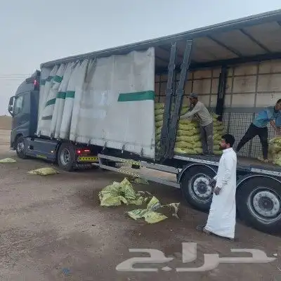 الشمس الذهبيه للاسمده 3