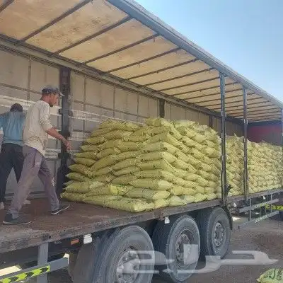 الشمس الذهبيه للاسمده 1
