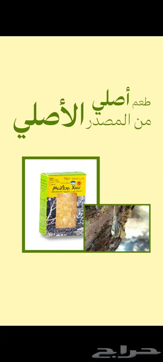 موشن جرافيك 5