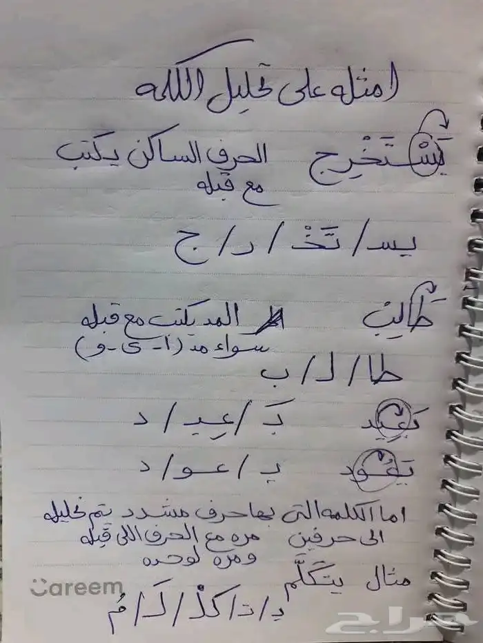 معلمه أردنيه لغه انجليزيه مع توفير معلمات ومعلمين لجميع المر 3