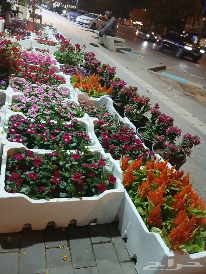 تنسيق حدائق 2