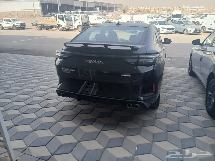 دونج. فينج. شاين. ون 2025 6