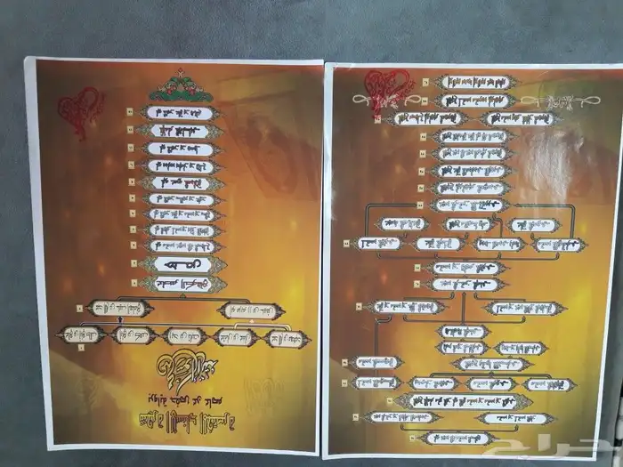 مدرس تأسيس قراءة وكتابة ومحفظ قرآن بالتجويد ومتابعة بالمدينة 2