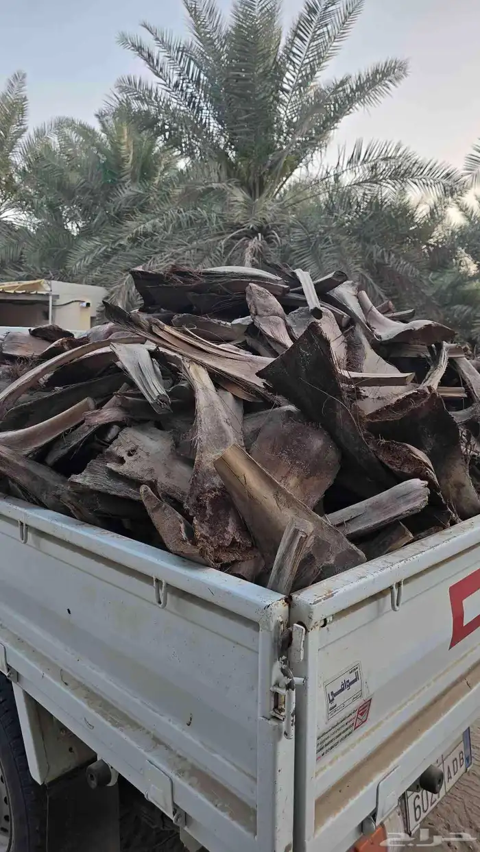 كرب نخل يستخدم لعمل المندي وأمور اخرة 2