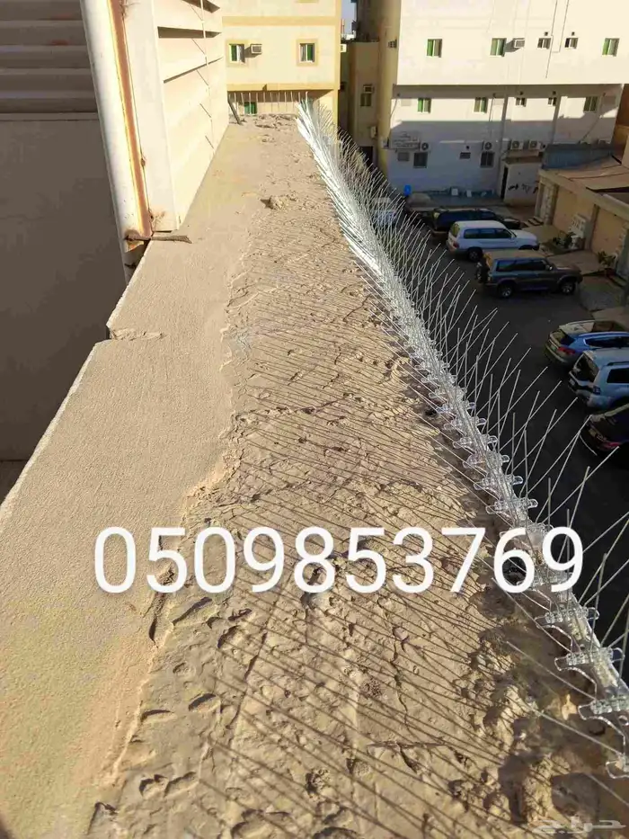 طرد الحمام شبابيك شوق 9