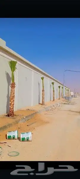 السلام عليكم ورحمه الله وبركاته عندنا نخل طيب نتواجد في الطا 7
