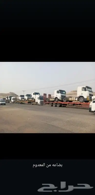 لوبد متواجد في حائل علا اي اتجاه 0