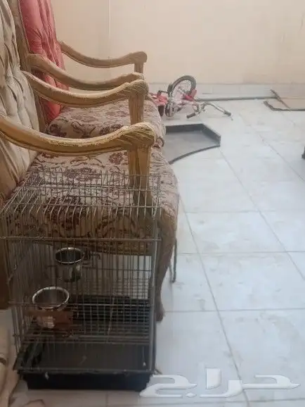 قفص ببغاء 4