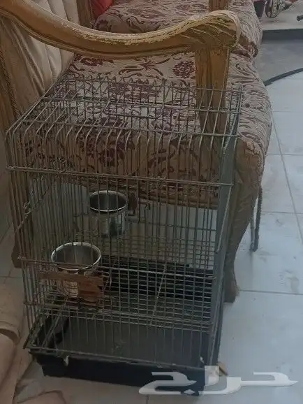 قفص ببغاء 1